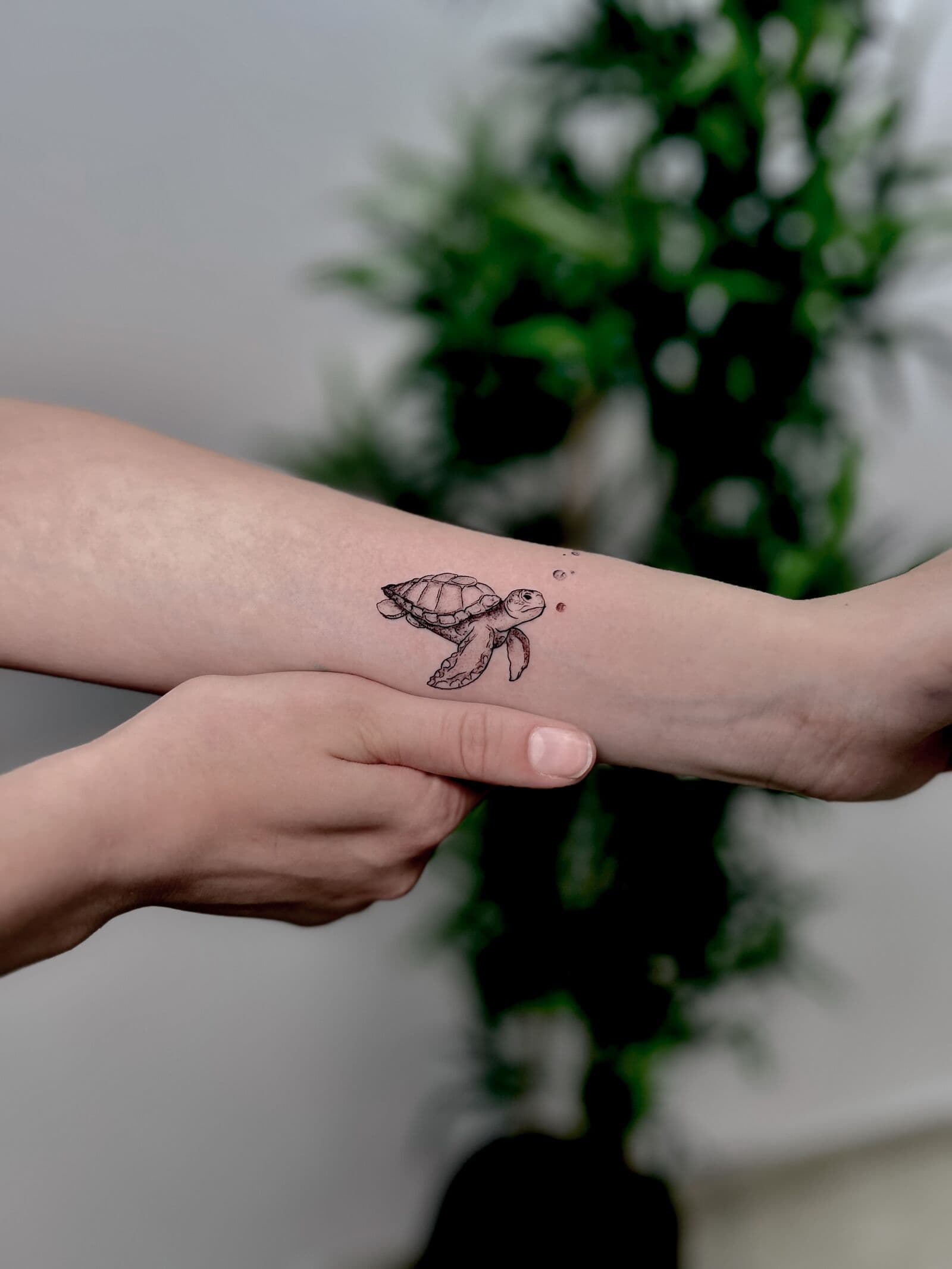 Schildkröte, Tattoo am Unterarm